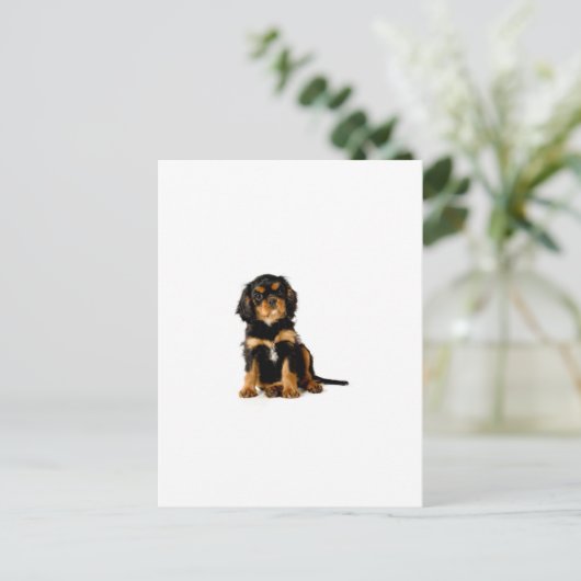 King Charles Spanel Black & Tan Postkarte (Stehend Vorderseite)