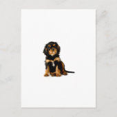 King Charles Spanel Black & Tan Postkarte (Vorderseite)