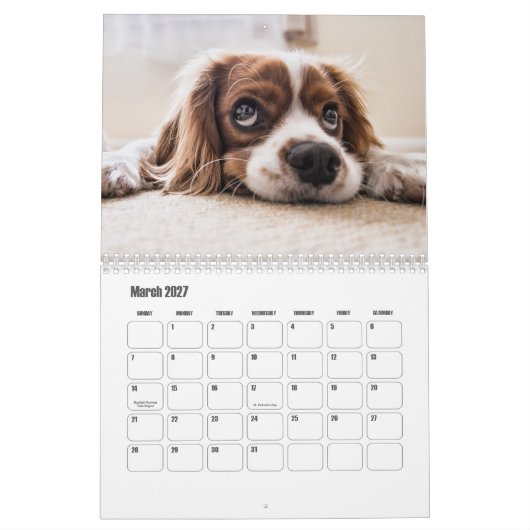 King Charles Spanel Calendar Kalender (Mär 2027)