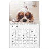 King Charles Spanel Calendar Kalender (Jan 2027)