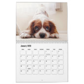 King Charles Spanel Calendar Kalender (Jan 2026)