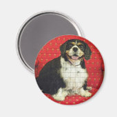 KING CHARLES SPANIAL MAGNET (Vorderseite/Rückseite)
