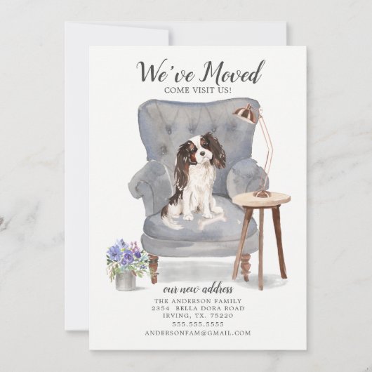 King Charles Spaniel Dog | Ankündigung der Beförde (Vorderseite)