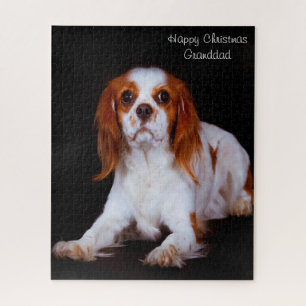 King Charles Spaniel Hund. Puzzle