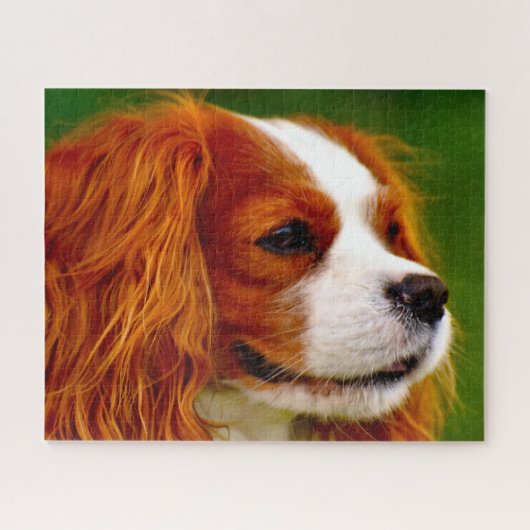King Charles Spaniel Hund. Puzzle (Horizontal)