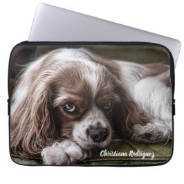 King Charles Spaniel Laptopschutzhülle