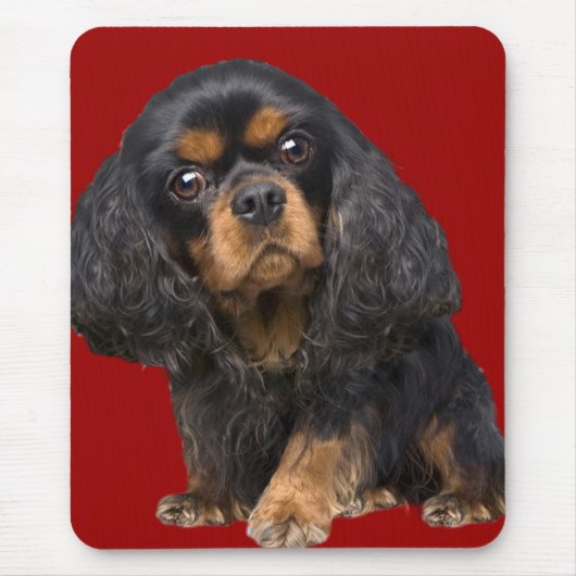 King Charles Spaniel Mousepad (Vorne)