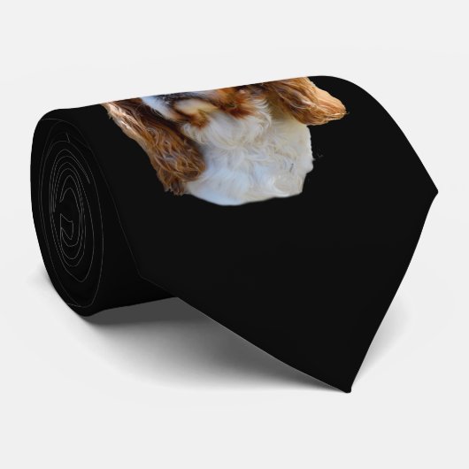 King Charles Spaniel, Neck Tie Krawatte (Gerollt)