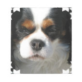King Charles Spaniel Notepad Notizblock (Vorderseite)