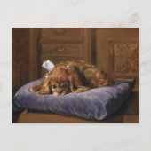 King Charles Spaniel Postkarte (Vorderseite)
