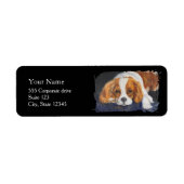king Charles spaniel  Return Address Labels (Vorne)