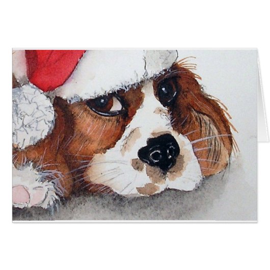King Charles Spaniel Welpe (Vorderseite (Horizontal))