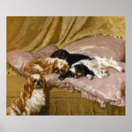 King Charles Spaniels von Arthur Wardle Poster