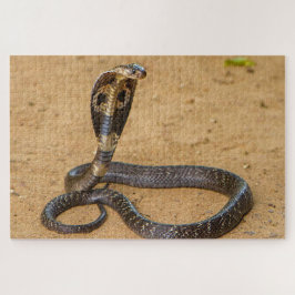 King Cobra Puzzle