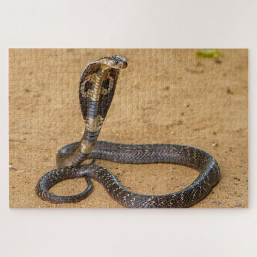 King Cobra Puzzle (Horizontal)