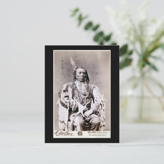 King Crow 1880 Postkarte (Stehend Vorderseite)