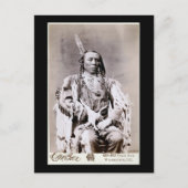 King Crow 1880 Postkarte (Vorderseite)