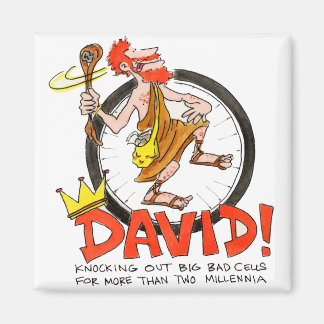 King David Button Magnet