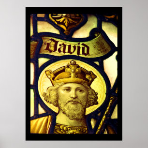King David Poster