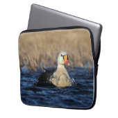 King Eider Bird Laptopschutzhülle (Vorderseite Links)