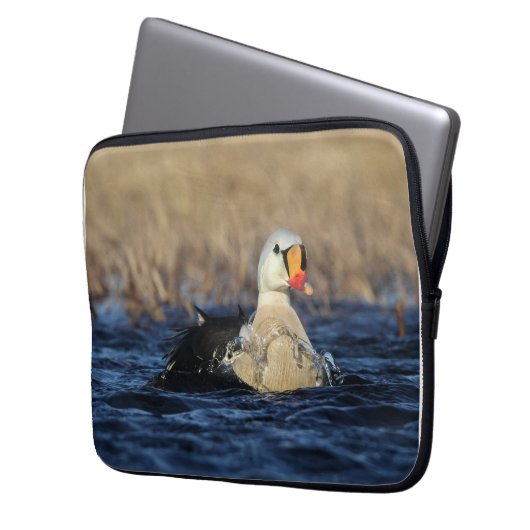 King Eider Bird Laptopschutzhülle (Vorderseite Links)