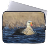 King Eider Bird Laptopschutzhülle (Vorderseite)