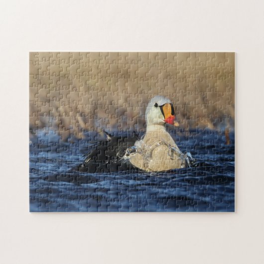 King Eider Bird Puzzle (Horizontal)