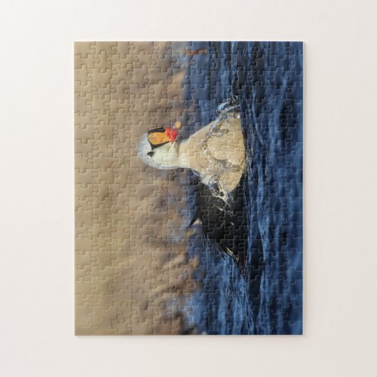 King Eider Bird Puzzle (Vertikal)