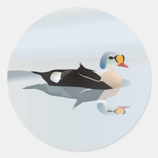 King Eider Duck Runder Aufkleber (Vorderseite)