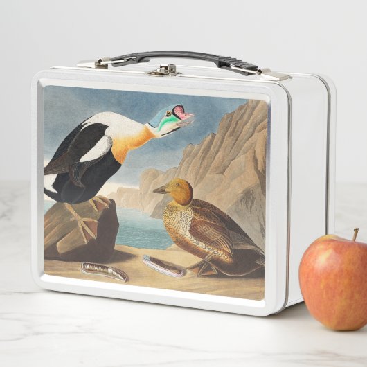 King Eider Duck von Birds of America (Audubon) Metall Brotdose (Beispiel)