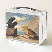 King Eider Duck von Birds of America (Audubon) Metall Brotdose (Rückseite)