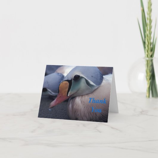 King Eidermännchen Danksagkarte Dankeskarte (Vorderseite)