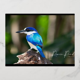King Fisher Blue Postcard Folien Feiertagspostkarte