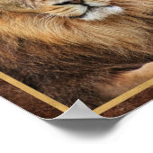King Lion Fotograf Poster (Ecke)