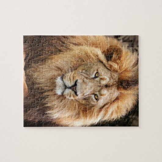 King Lion Fotograf Puzzle (Horizontal)