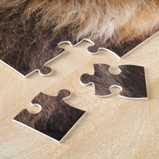 King Lion Fotograf Puzzle (Seite)