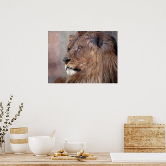 King Lion Poster (Küche)
