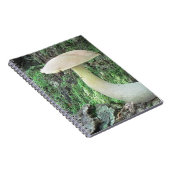 King-Mushroom-Notebook Notizblock (Rechte Seite)