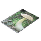 King-Mushroom-Notebook Notizblock (Linke Seite)