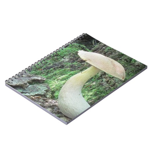 King-Mushroom-Notebook Notizblock (Linke Seite)