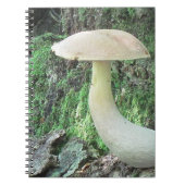 King-Mushroom-Notebook Notizblock (Vorderseite)