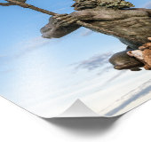 King Neptune Fotodruck (Ecke)