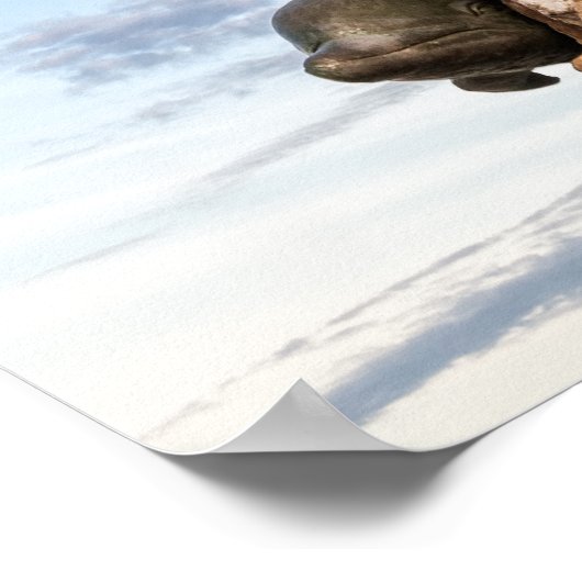 King Neptune Poster (Ecke)