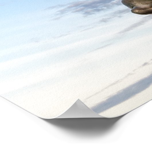 King Neptune Statue Poster (Ecke)