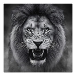 King of the Jungle Fotodruck