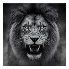 King of the Jungle Poster