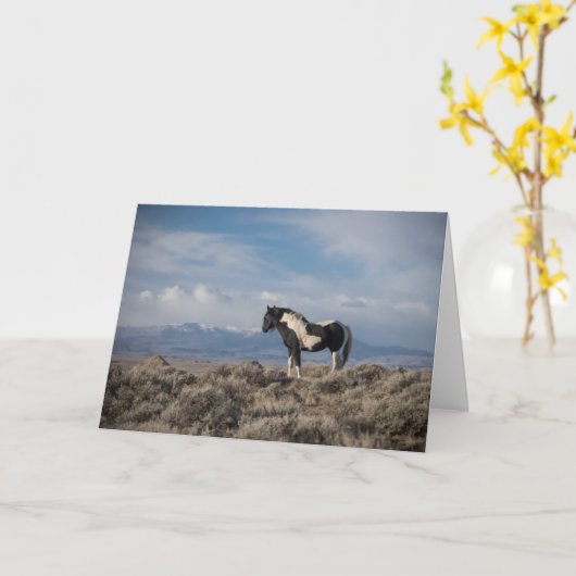 "King of the Mountain" Note Card Karte (Gelbe Blume)