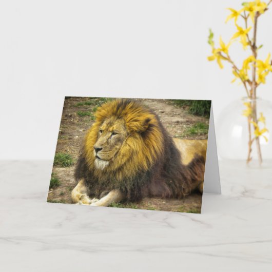 King of the Zoo Birthday Card Karte (Gelbe Blume)