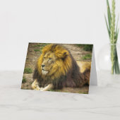 King of the Zoo Birthday Card Karte (Vorderseite)