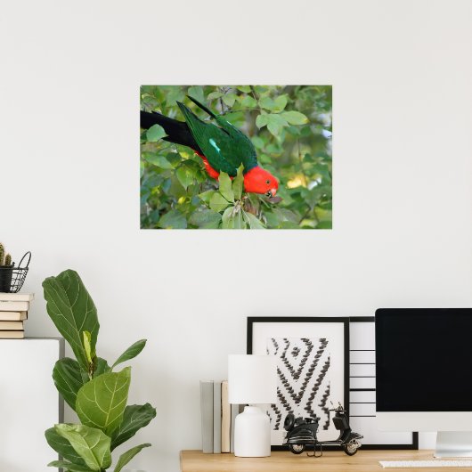 King Parrot Poster (Heimbüro)